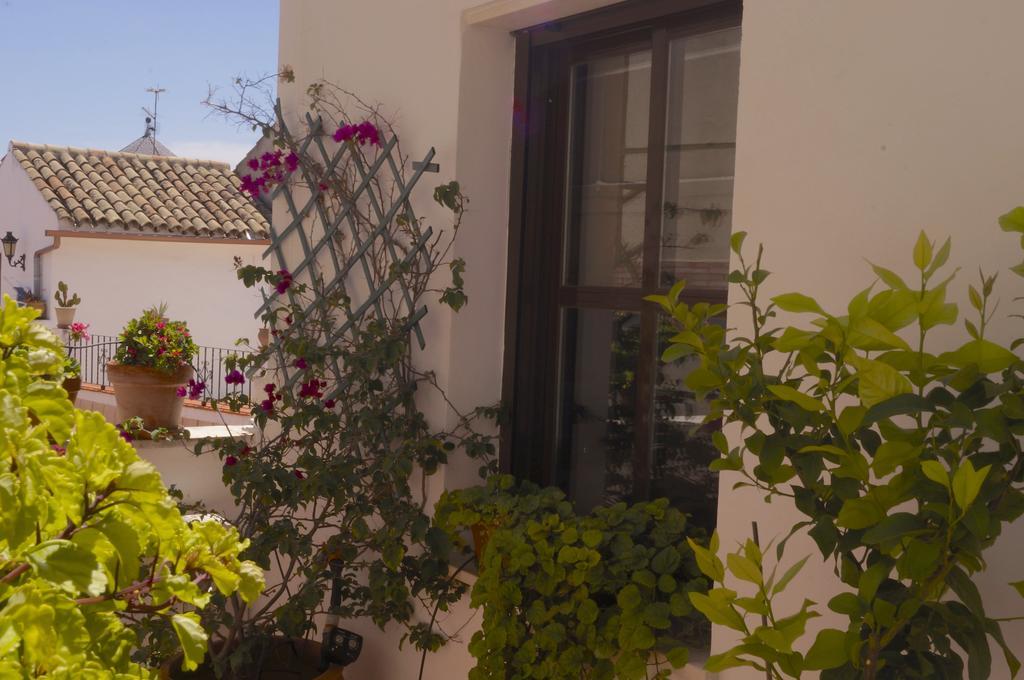 Penthouse Puerta De La Juderia Διαμέρισμα Κόρδοβα Εξωτερικό φωτογραφία